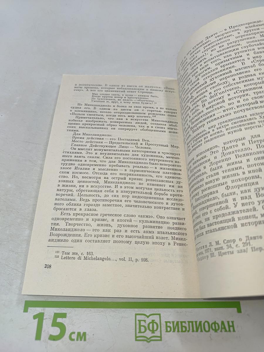 Итальянская интеллигенция в эпоху Ренессанса