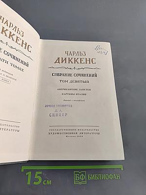 Собрание сочинений. Том девятый. Американские заметки. Картины Италии