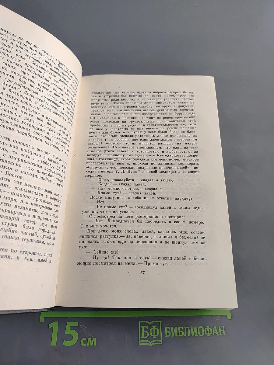Собрание сочинений. Том девятый. Американские заметки. Картины Италии
