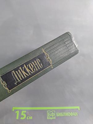 Собрание сочинений. Том девятый. Американские заметки. Картины Италии