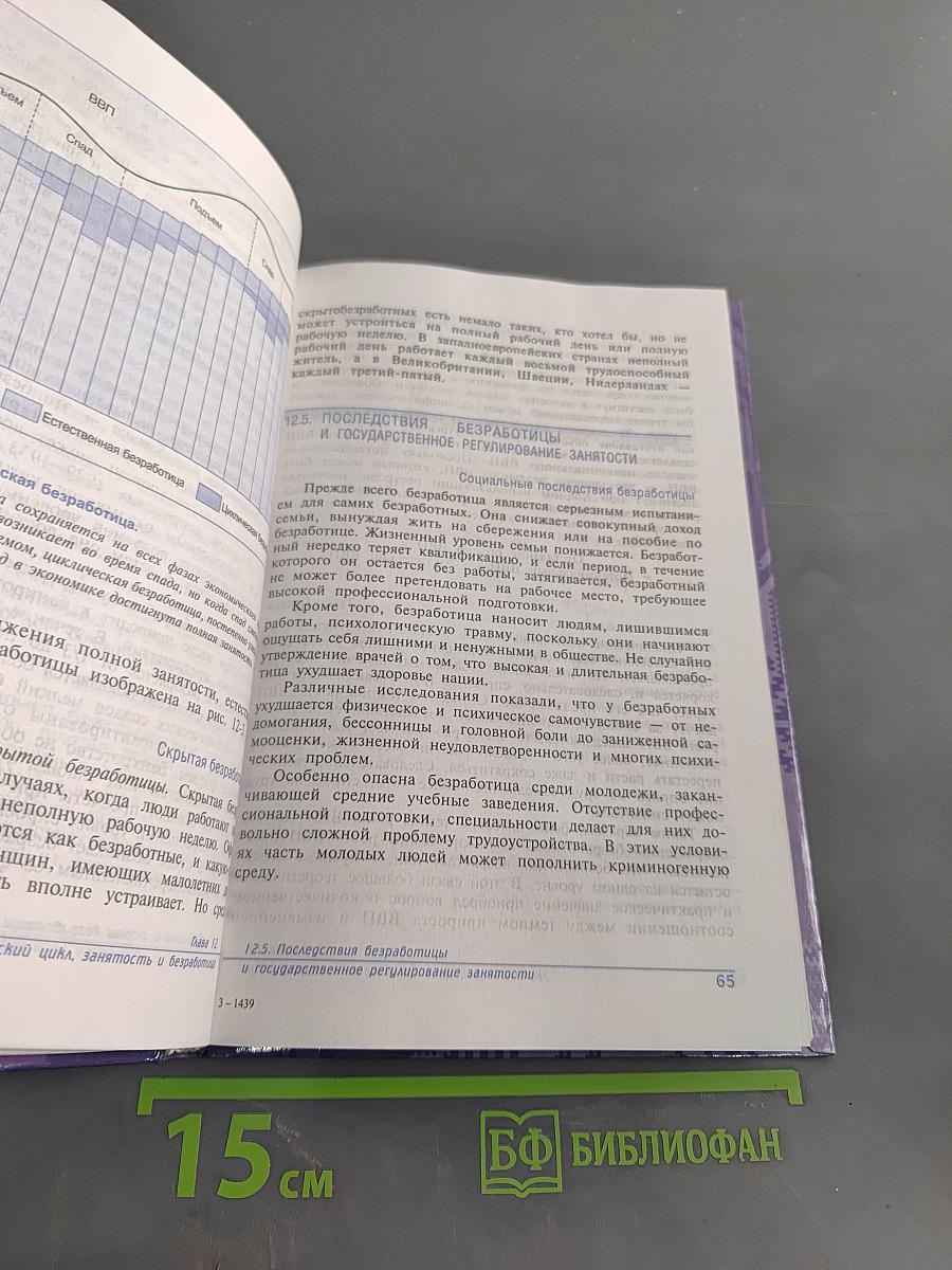 Основы экономической теории. Учебник для 10-11 классов общеобразовательных учреждений с углубленным изучением экономики. Книга 2