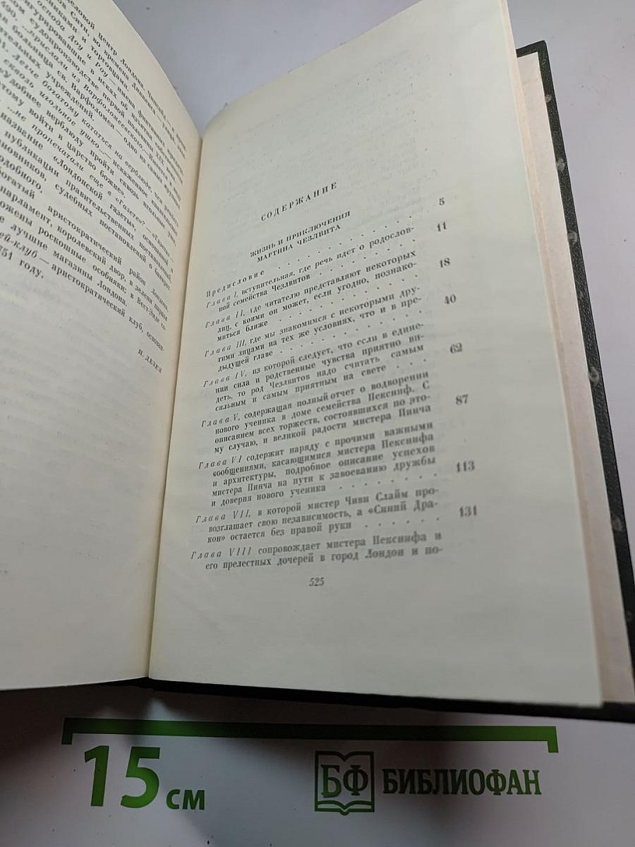 Собрание сочинений. Том десятый: Жизнь и приключения Мартина Чезлвита