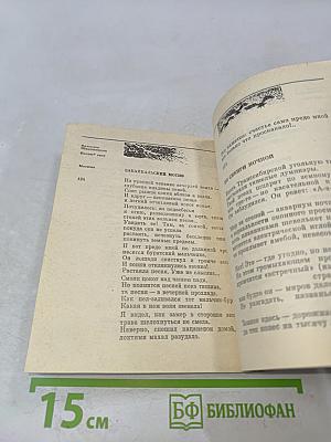 Ивовый свет