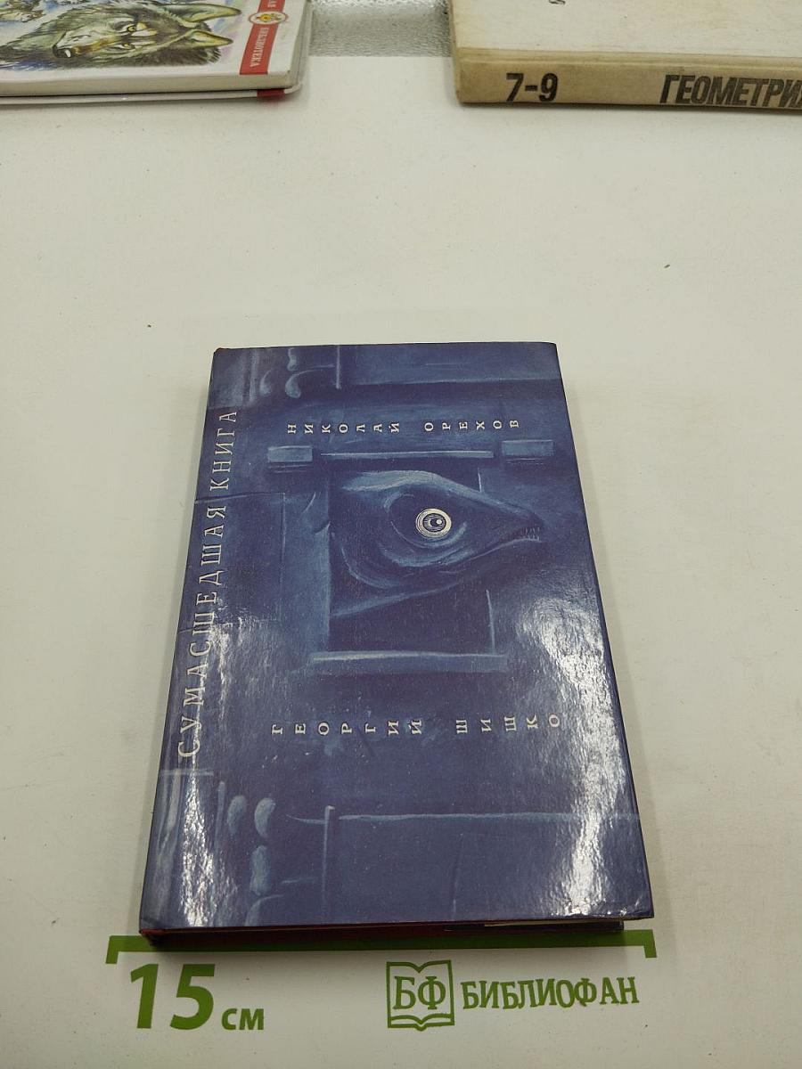 Сумасшедшая книга