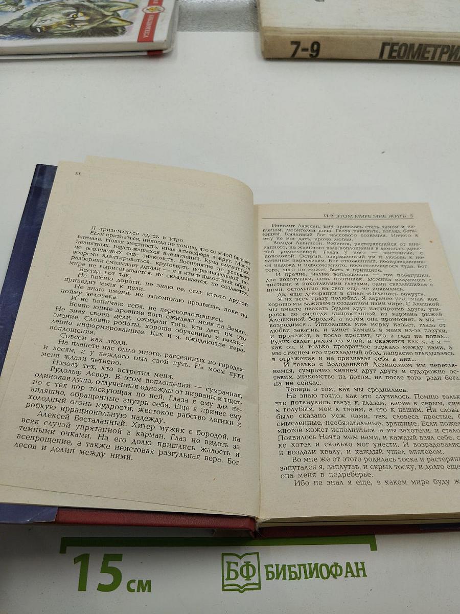 Сумасшедшая книга