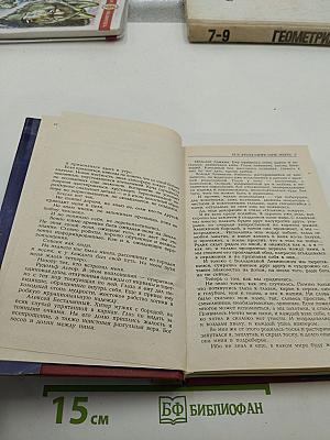 Сумасшедшая книга