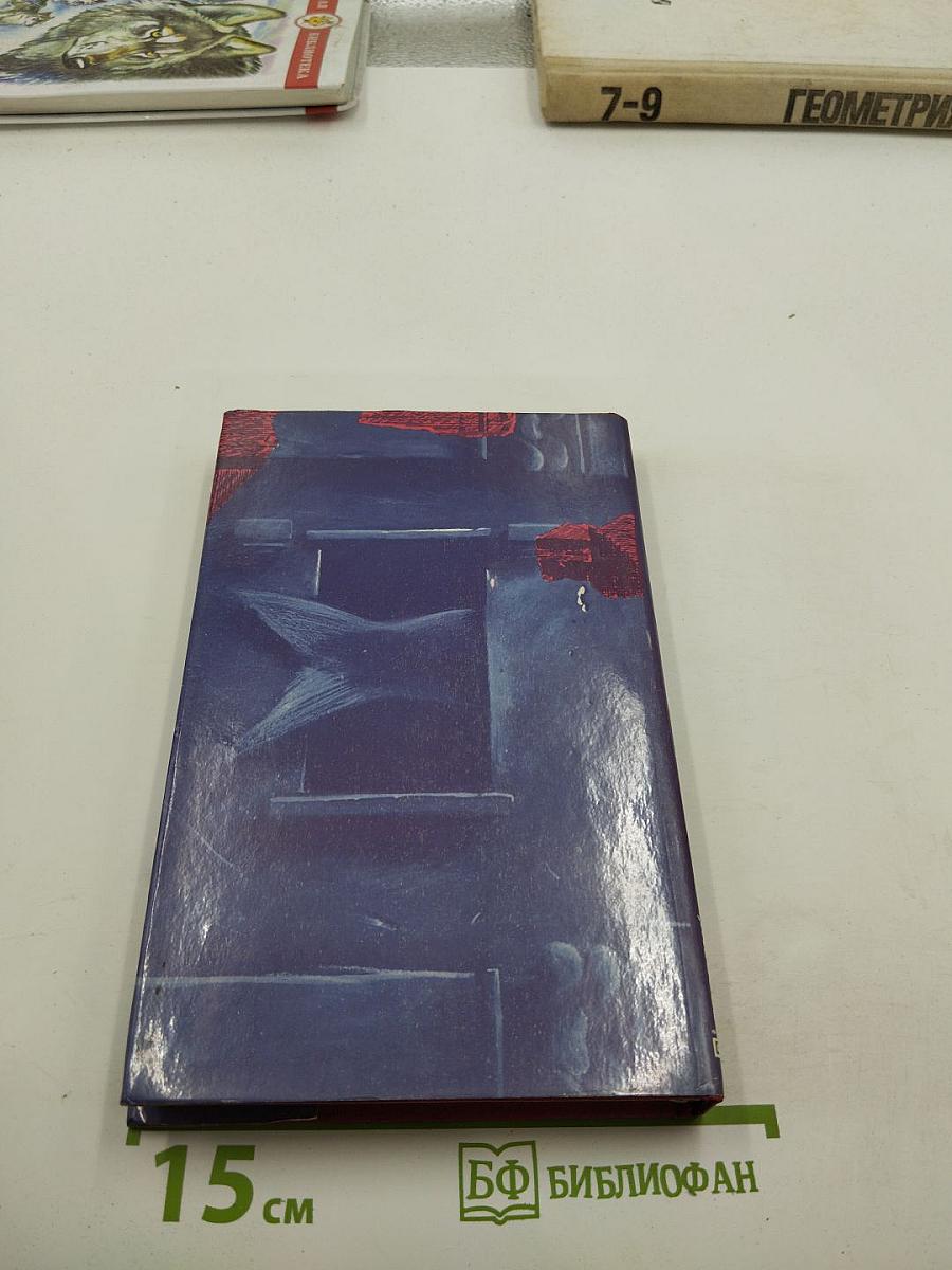 Сумасшедшая книга