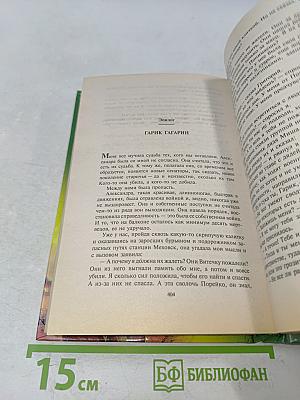 Вид на битву с высоты