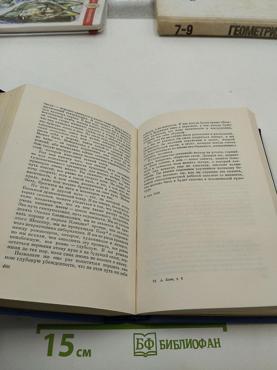 Собрание сочинений. Том 6. Проза 1918-1921
