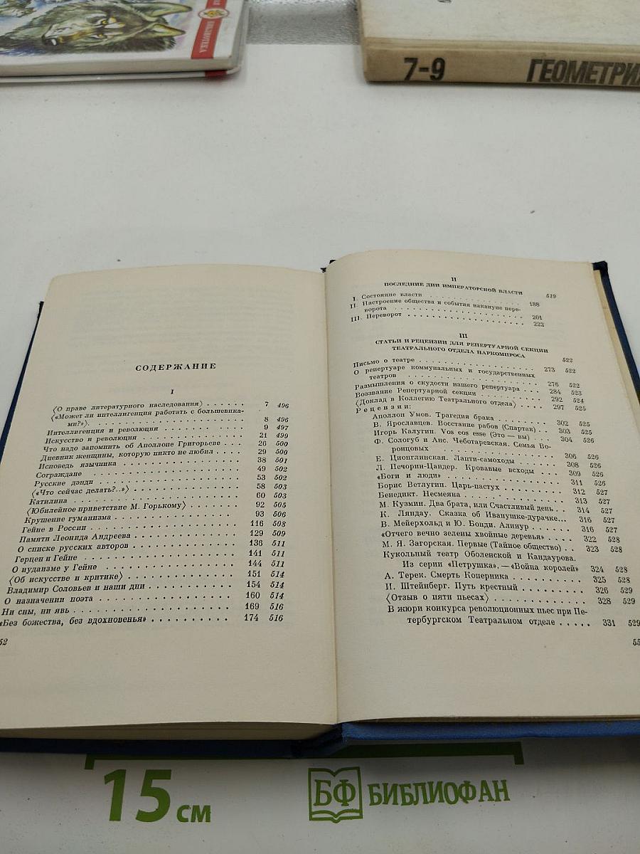 Собрание сочинений. Том 6. Проза 1918-1921