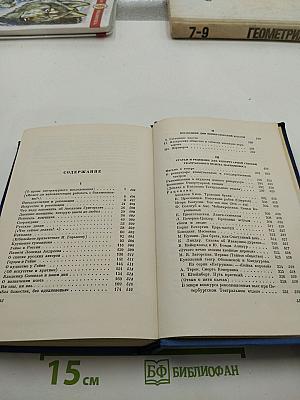 Собрание сочинений. Том 6. Проза 1918-1921