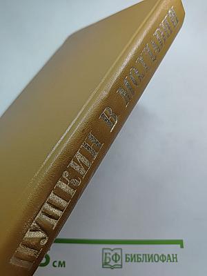 Пушкин в Молдавии