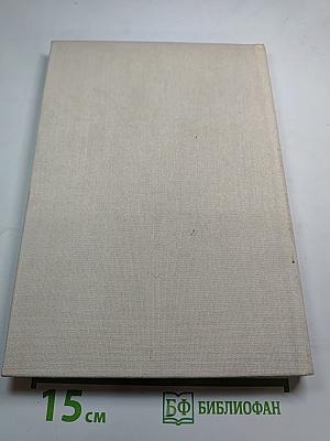 Gipfelsturm im Karakorum