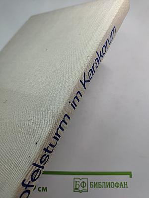 Gipfelsturm im Karakorum