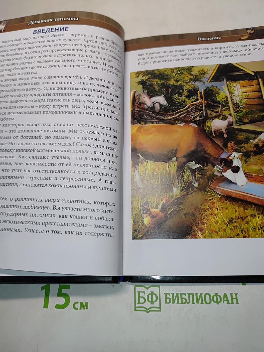 Энциклопедия Домашние питомцы