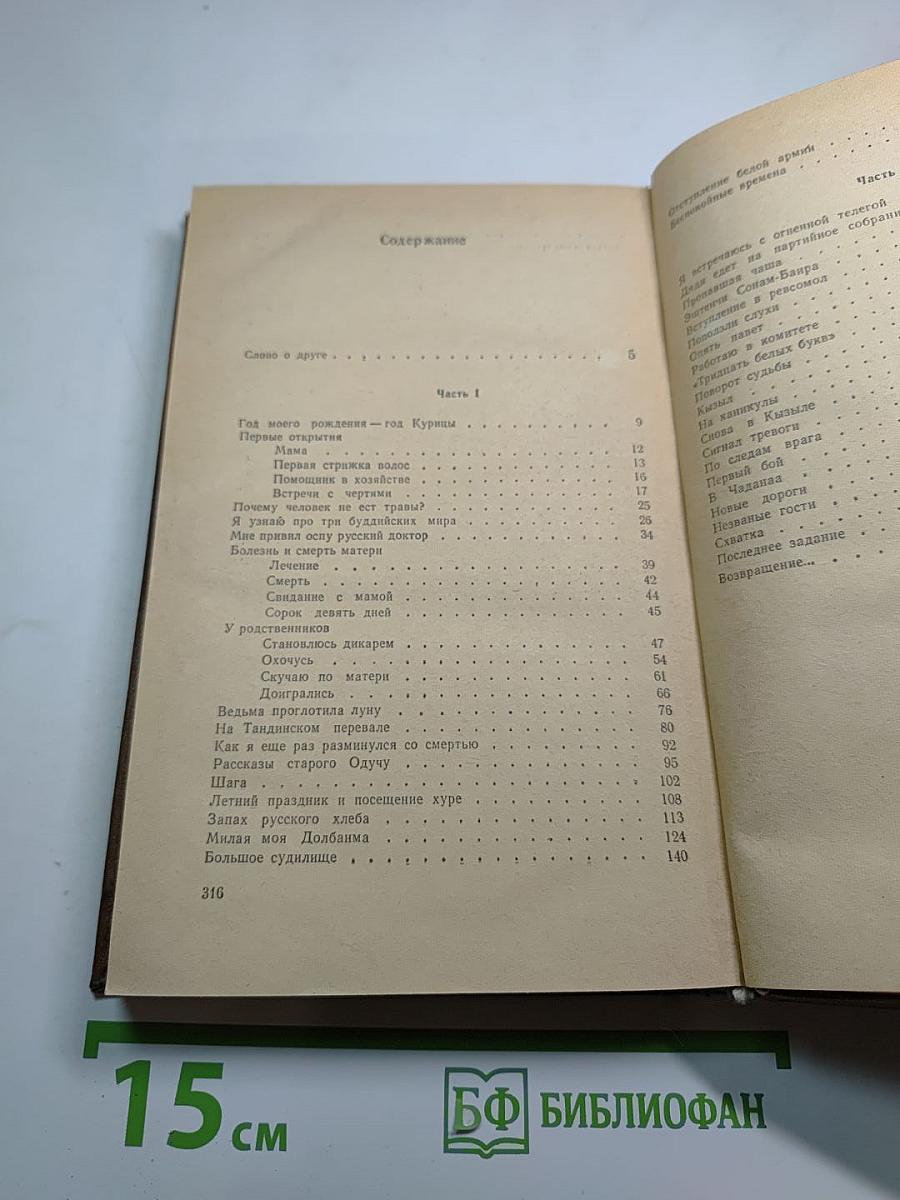 Повесть о светлом мальчике