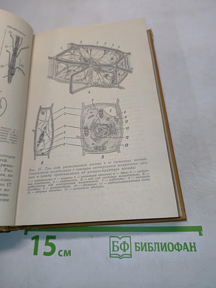 Основы садоводства