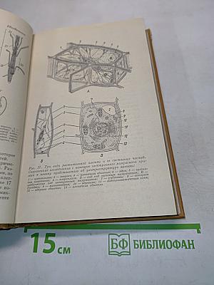 Основы садоводства