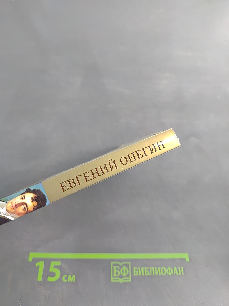 Евгений Онегин