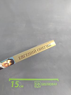 Евгений Онегин