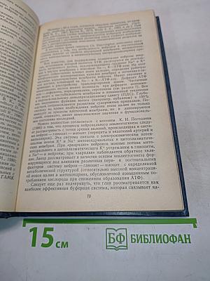 Эпилепсия