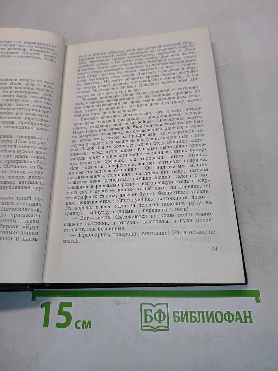 Хождение по мукам. Том второй. Книга третья. Хмурое утро