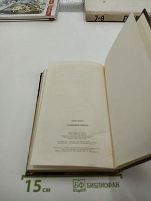 Рубиновый рыцарь