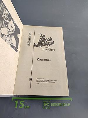 За доброй надеждой. Солёный лёд