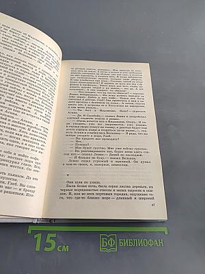 За доброй надеждой. Солёный лёд