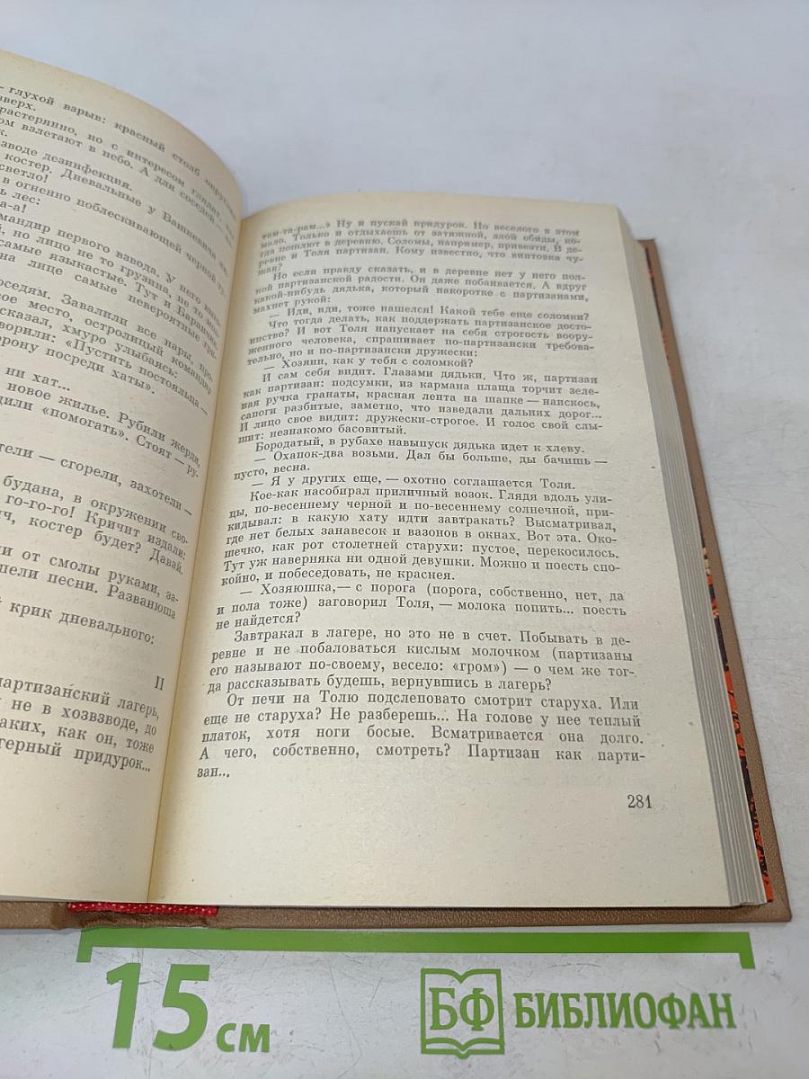 Партизаны