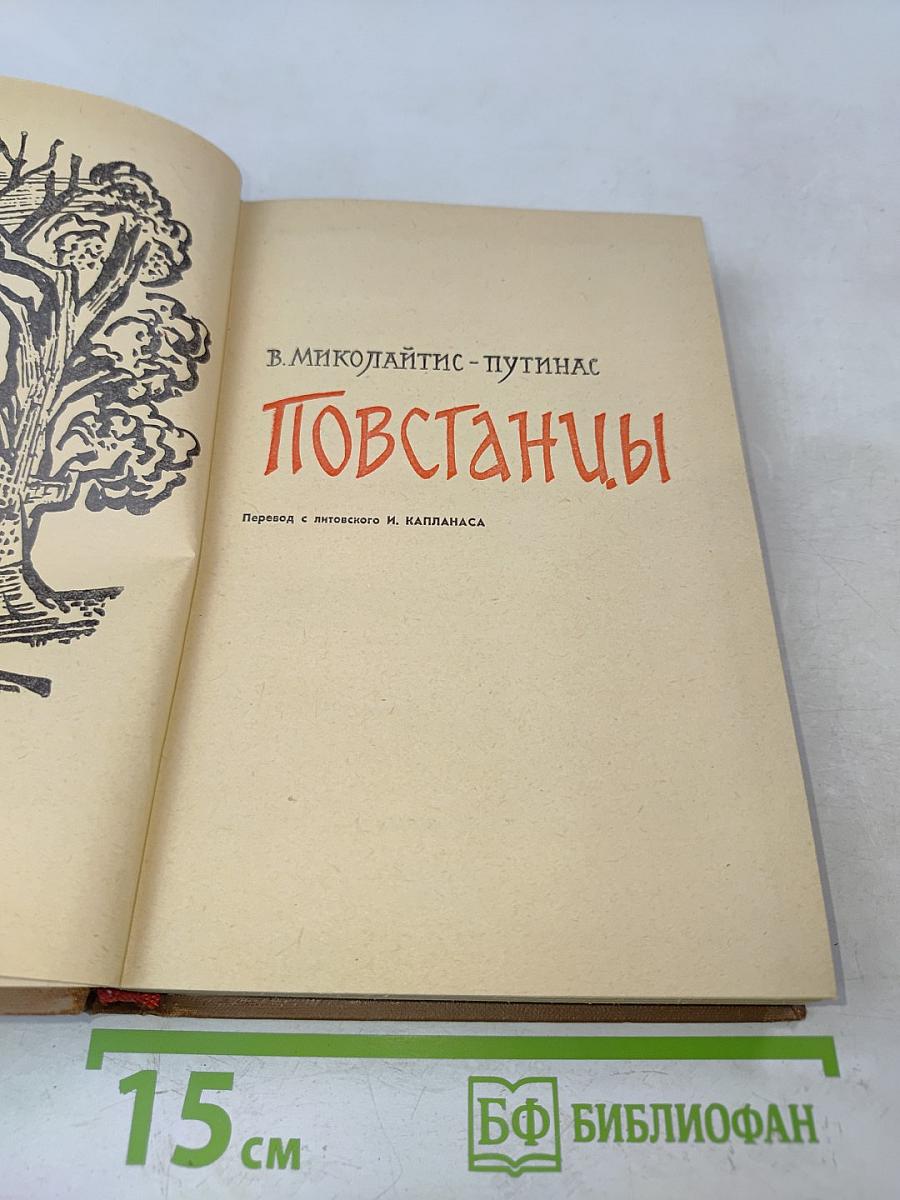 Повстанцы