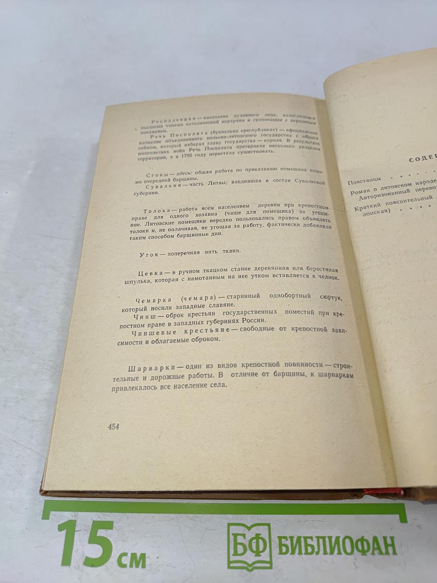Повстанцы