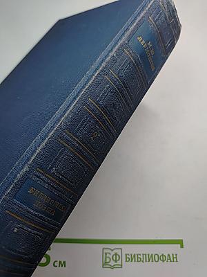 Избранные произведения в двух томах. Том второй (1835-1841)