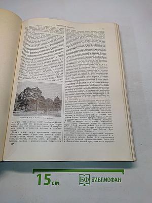 Большая Советская Энциклопедия. Том 21. Кинестезия — Коллизия
