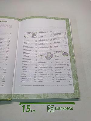 2005 практических советов. Эффективное лечение недомоганий и болезненных состояний домашними средствами