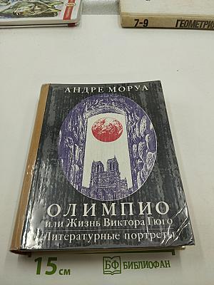 Олимпио или Жизнь Виктора Гюго. Литературные портреты