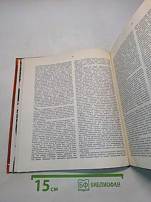 Экран 1976-1977