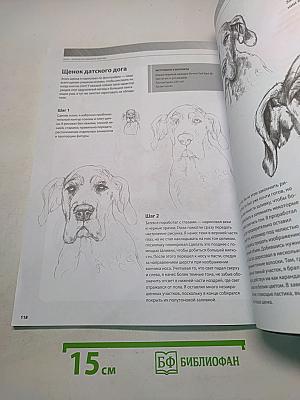 Рисунок простым карандашом. Полный курс