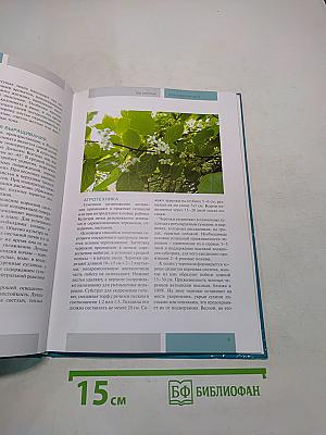 Редкие плодовые культуры
