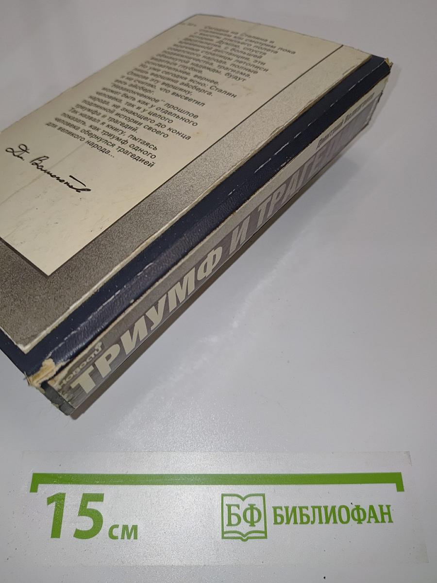 Триумф и трагедия. Политический портрет И.В. Сталина. Книга 2