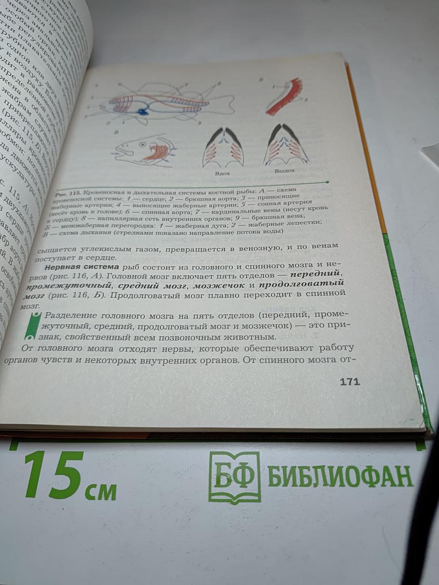 Биология. 8 класс