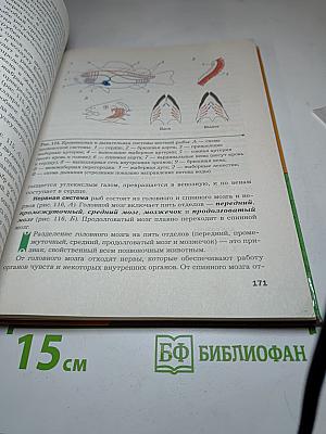 Биология. 8 класс