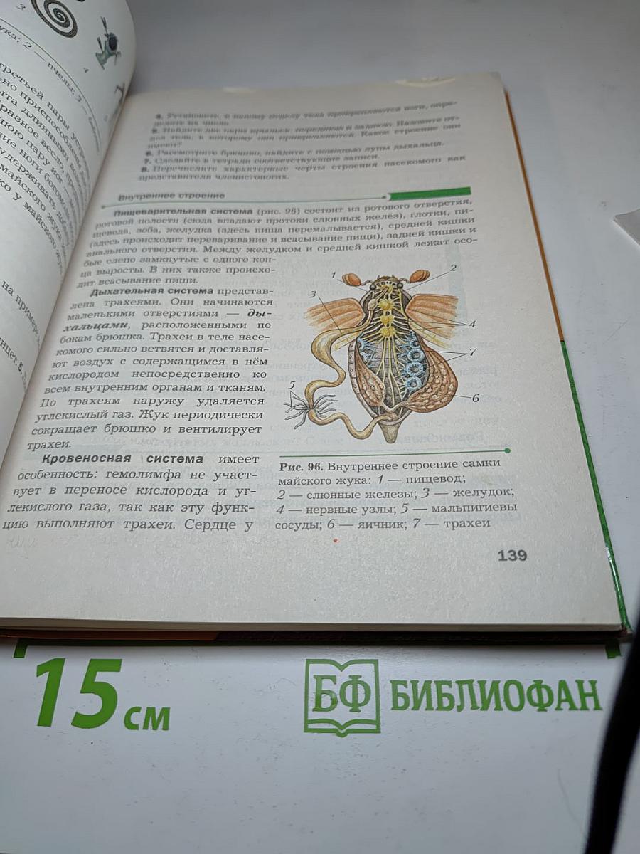 Биология. 8 класс