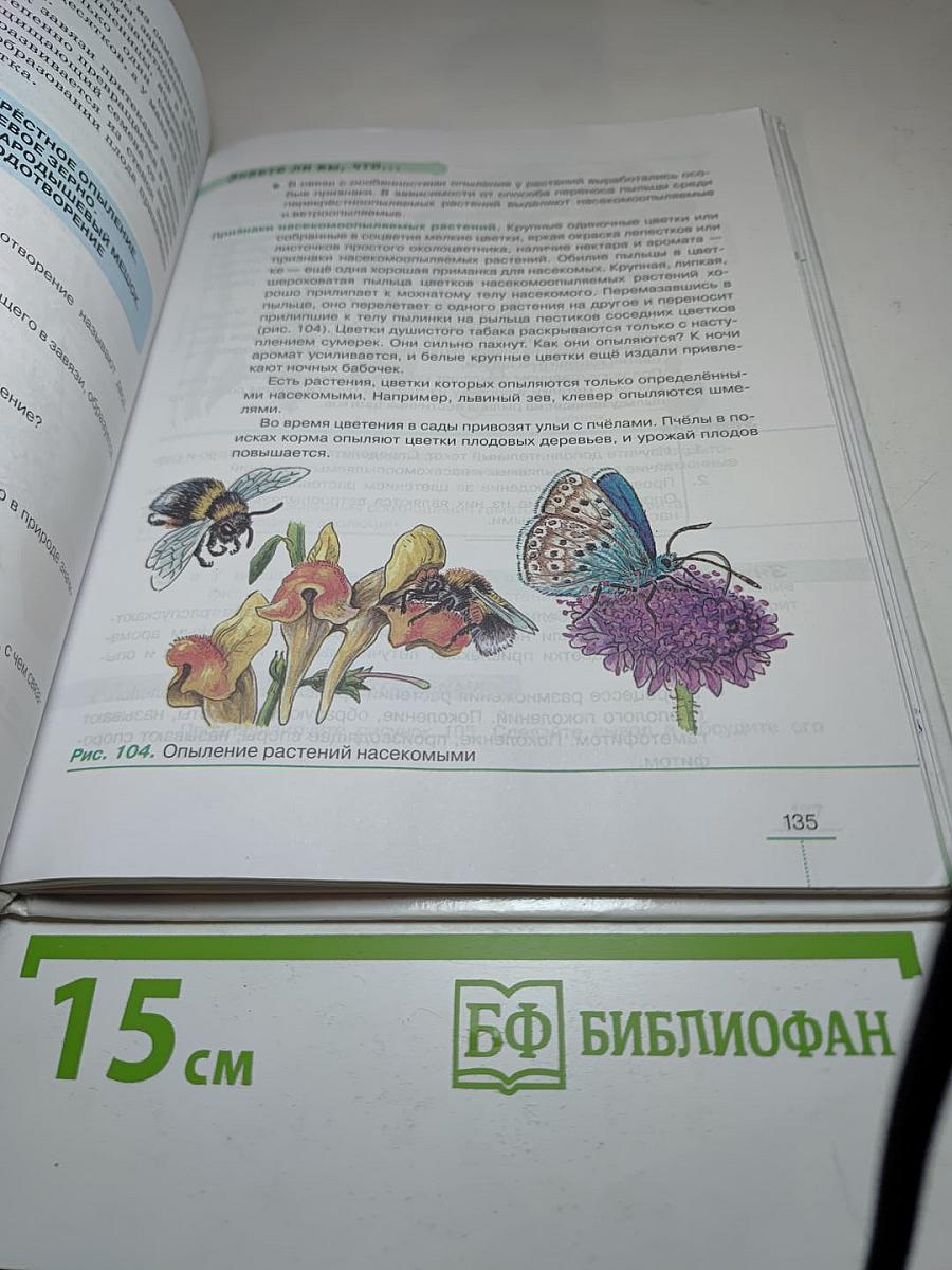БИОЛОГИЯ. Многообразие покрытосеменных растений. 6 класс