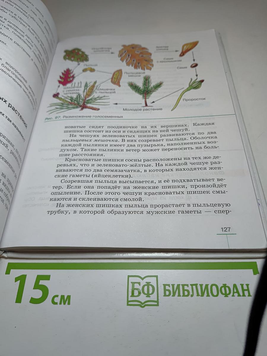 БИОЛОГИЯ. Многообразие покрытосеменных растений. 6 класс