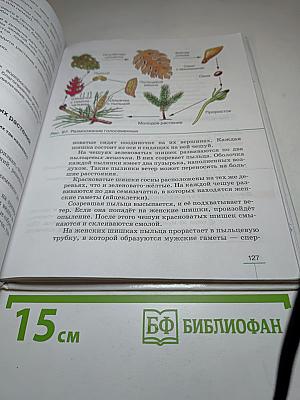 БИОЛОГИЯ. Многообразие покрытосеменных растений. 6 класс