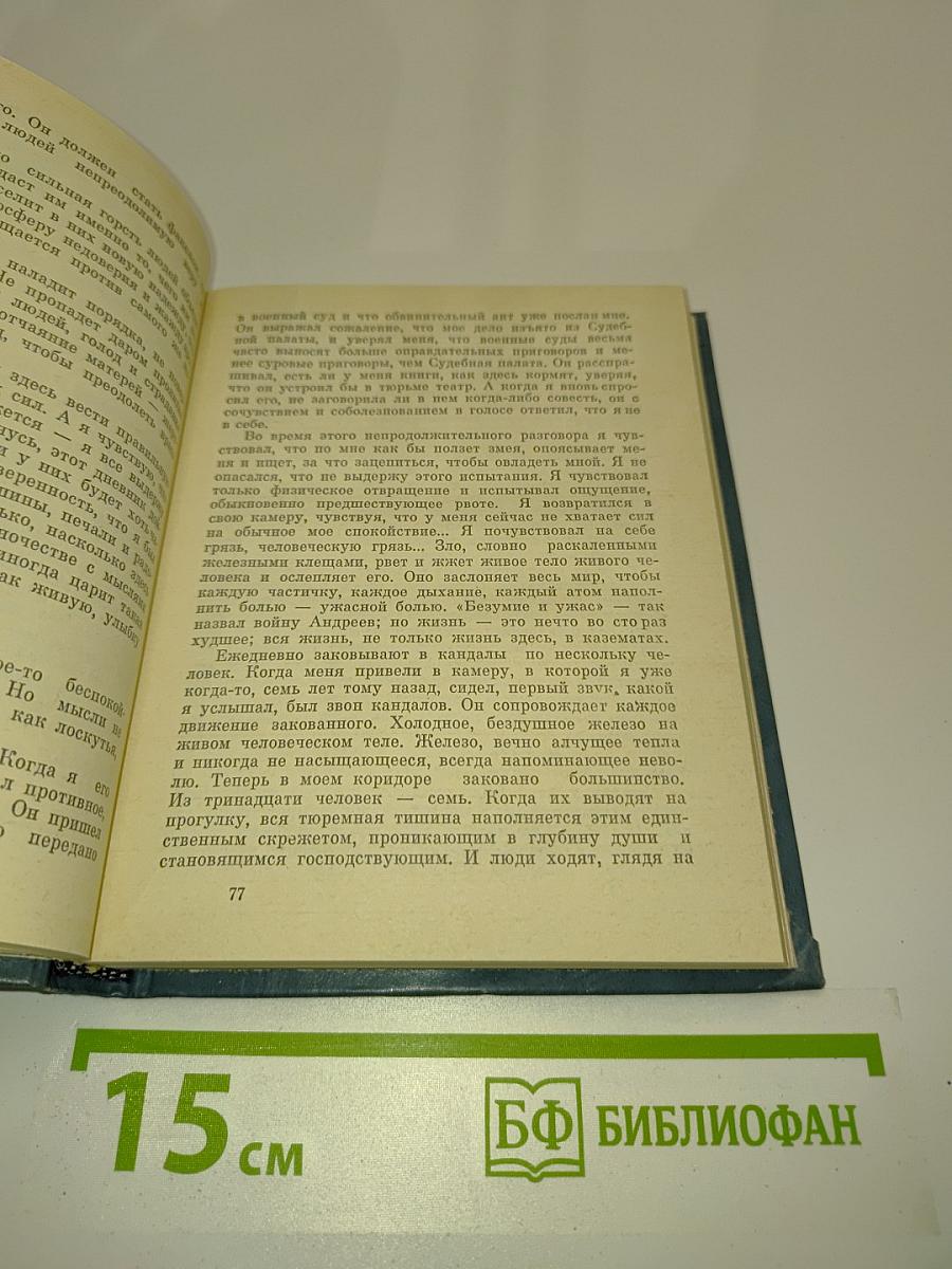 Дневник заключенного. Письма