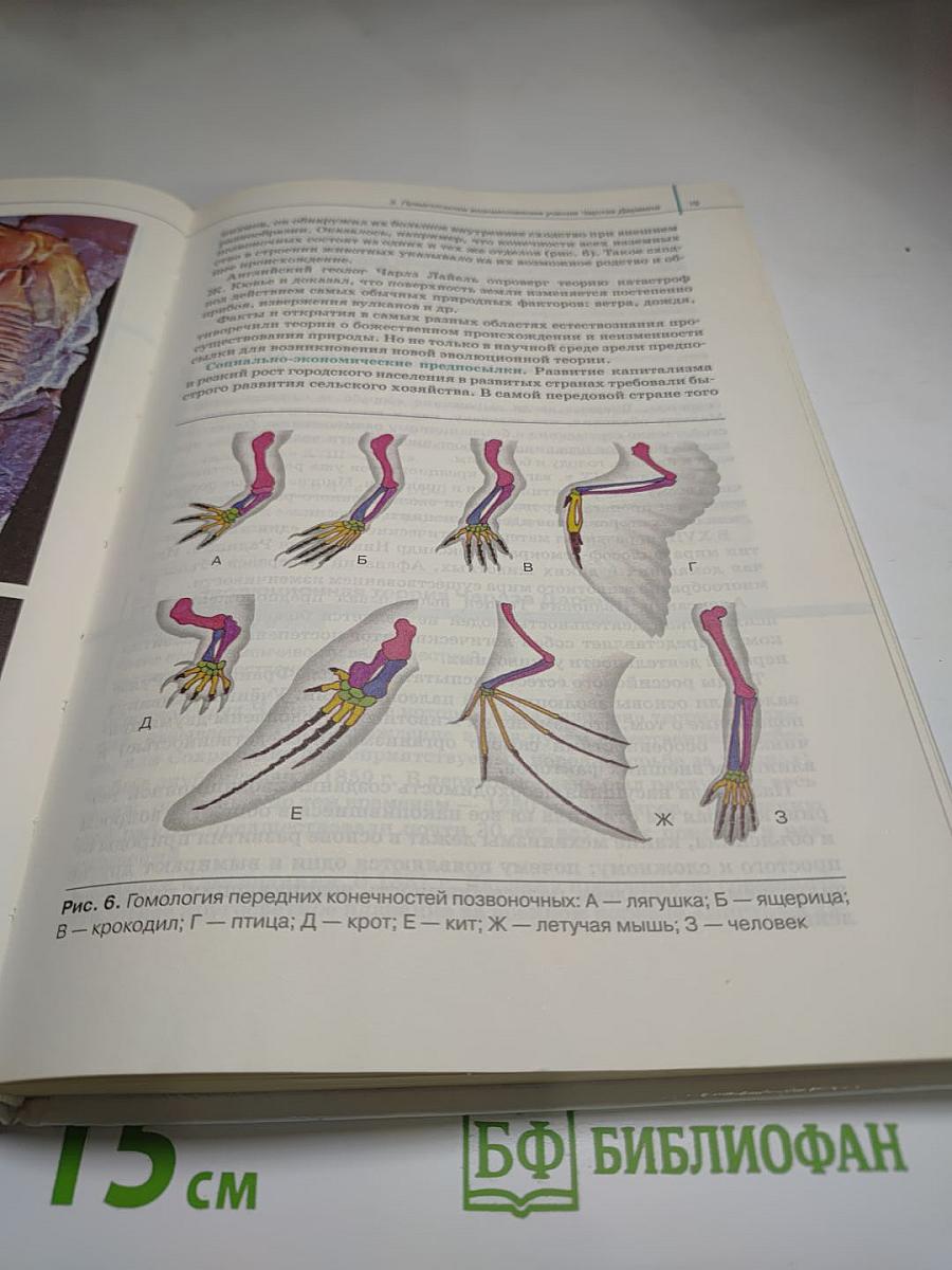 Биология. Общая биология. 11 класс