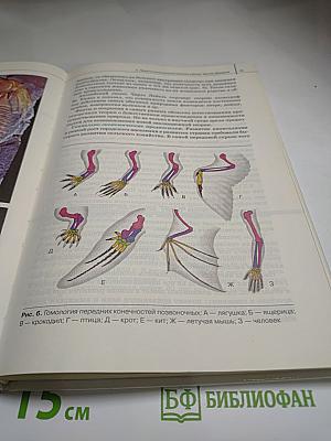 Биология. Общая биология. 11 класс