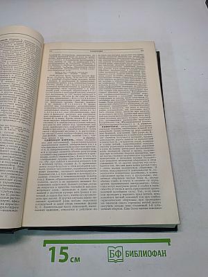 Большая медицинская энциклопедия. Том двенадцатый. Ишемия – Кишечник